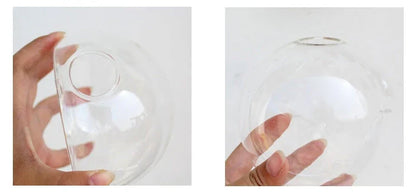 Elegant glass wall hanging flower vase planter terrarium with various shapes and sizes