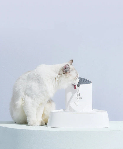 1.5L automatic pet water fountain with LED light and 4-layer filter