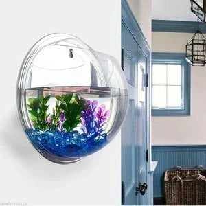 Stylish acrylic wall-mounted fish bowl for modern homes