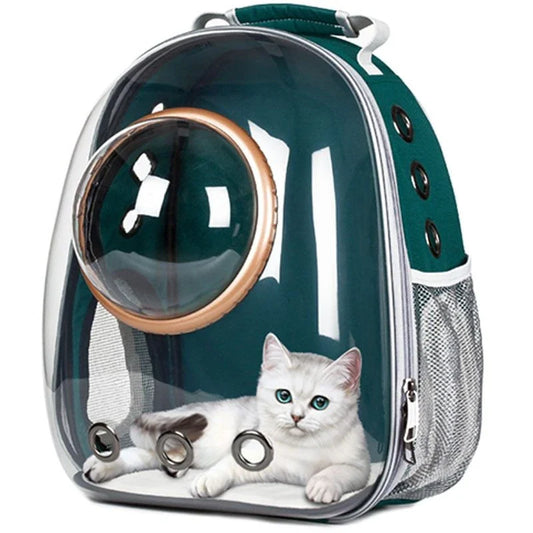 Premium transparent pet carrier backpack with side-entry door and breathable design for cats up to 12 kg