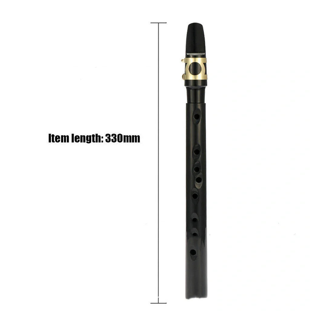Portable Mini Saxophone in black with alto mouthpiece and carry bag