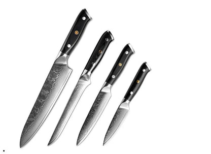 Premium Japanese Damascus steel kitchen and fruit knife set with G10 handle