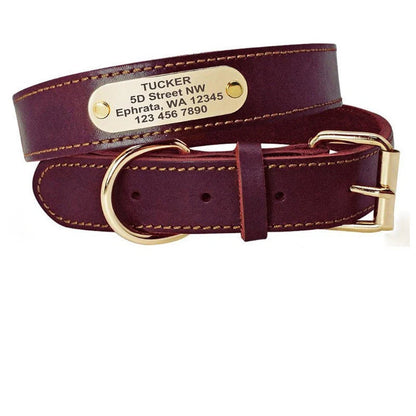 Personalized leather dog collar with golden nameplate ID tag for medium to large dogs