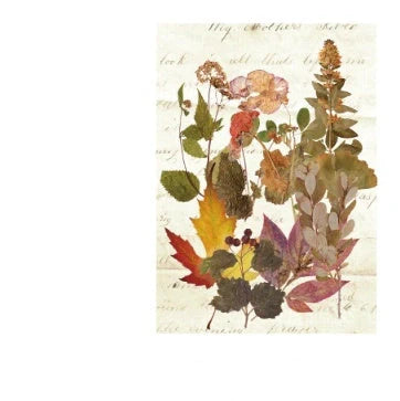 Herbarium DIY Plant Stickers pack with 8 unique botanical designs for creative decoration