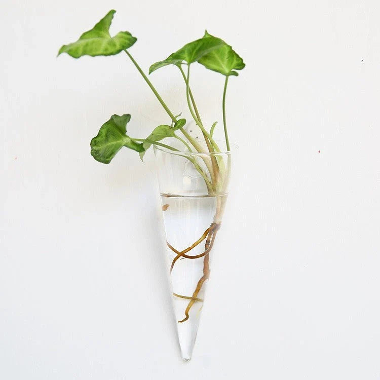 Elegant glass wall hanging flower vase planter terrarium with various shapes and sizes