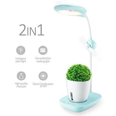 A transparent, intelligent grow box with a built-in table lamp for nurturing indoor plants