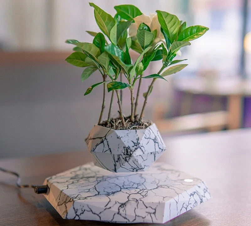 Levitating marble bonsai pot floating above magnetic base