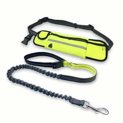 Premium hands-free dog running leash with waterproof waist bag, reflective stitching, and shock-absorbing bungee for safe and comfortable outdoor adventures.