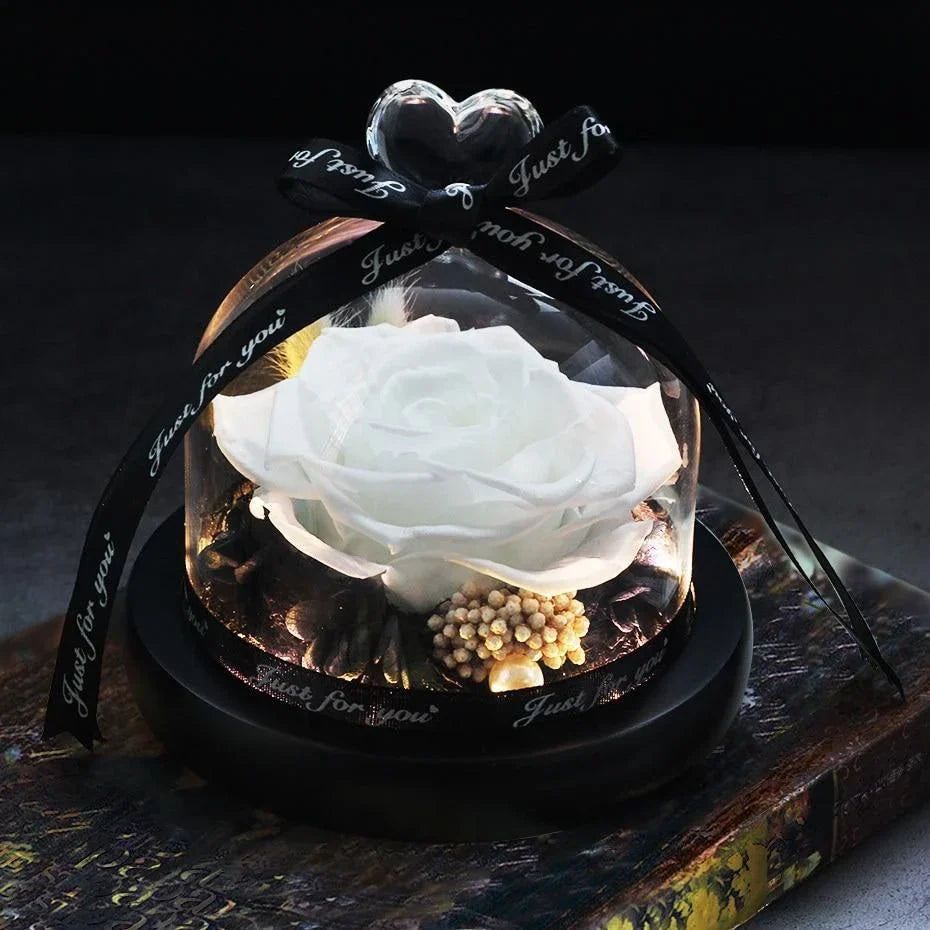 Enchanting Eternal Rose with LED lighting in a glass display, showcasing its timeless beauty and elegant design