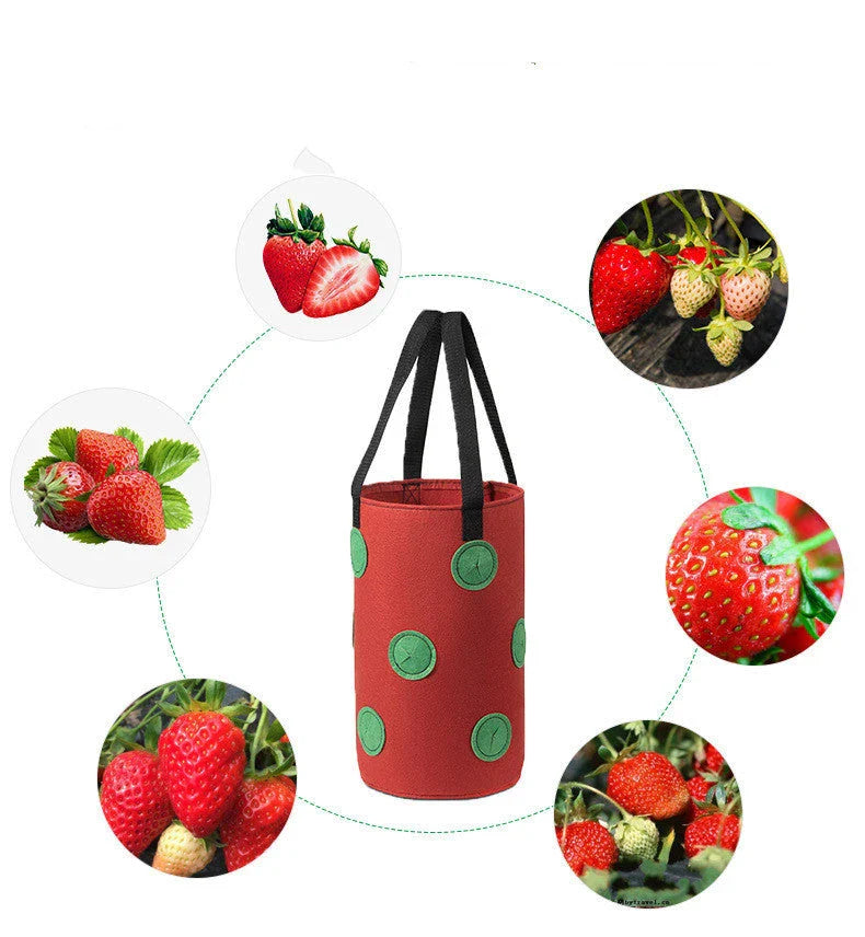 Vertical Garden Hanging Planter Bag made of breathable, non-woven fabric with 13 planting holes for growing herbs, vegetables, and strawberries
