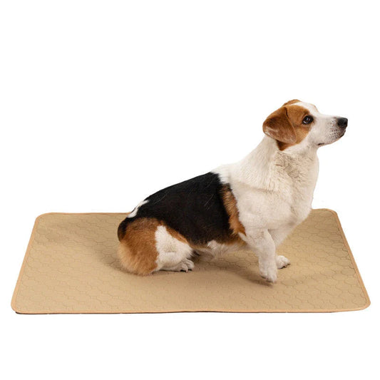 Premium Washable Dog Pee Pads with Repeated Absorption for Potty Training, Senior Dogs, and Accident Protection