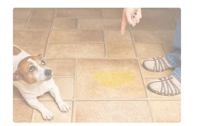 Premium Washable Dog Pee Pads with Repeated Absorption for Potty Training, Senior Dogs, and Accident Protection