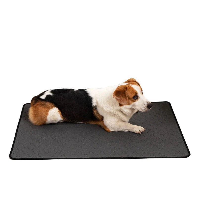 Premium Washable Dog Pee Pads with Repeated Absorption for Potty Training, Senior Dogs, and Accident Protection