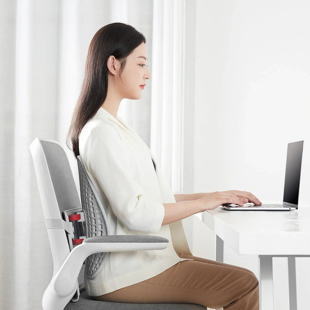 Adjustable car chair lumbar support cushion with ventilated mesh for office and home use