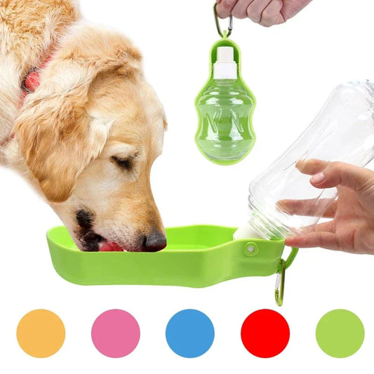 Portable pet water bottle with detachable bowl for convenient hydration while traveling with your dog or cat