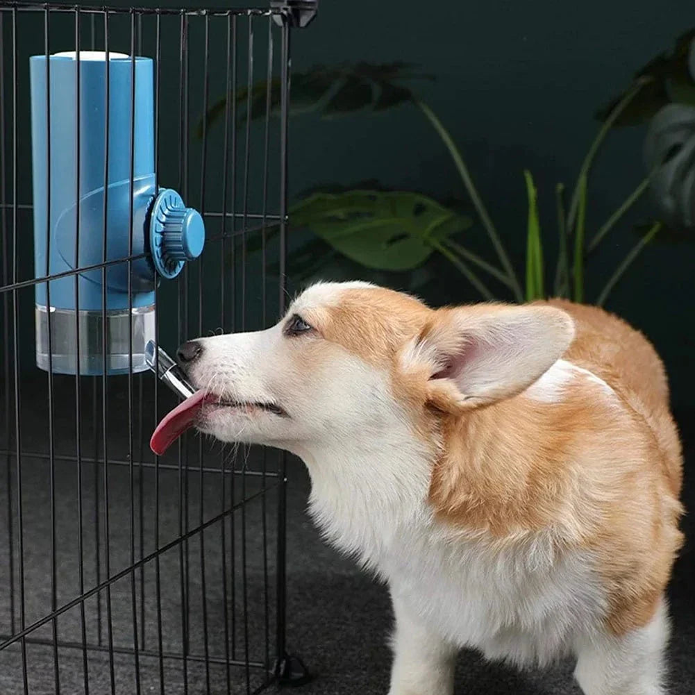 Convenient gravity-fed pet water dispenser with 360-degree swivel nozzle, attaches easily to cages and kennels