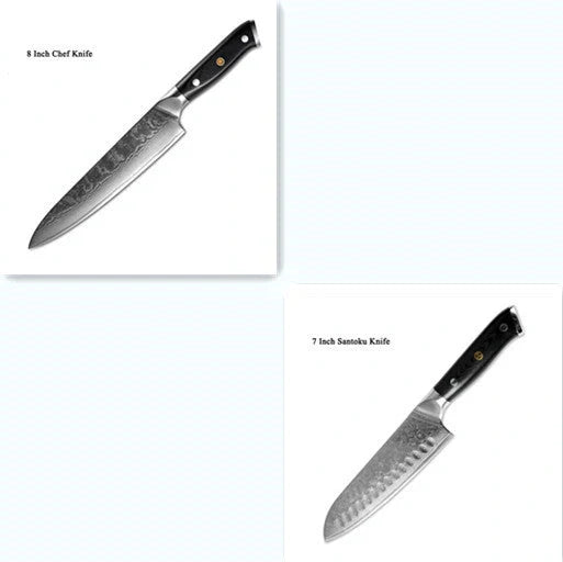 Premium Japanese Damascus steel kitchen and fruit knife set with G10 handle