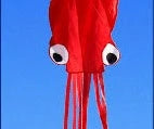 Premium 13ft Octopus Kite with durable handle and vibrant, eye-catching design for outdoor fun and summer adventures