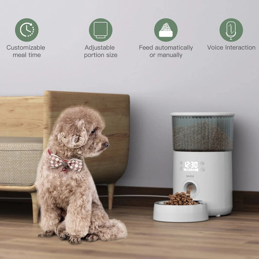 Smart Automatic Pet Feeder with Voice Recording and WiFi Control for dogs and cats