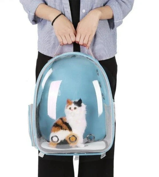 Premium transparent pet carrier backpack with side-entry door and breathable design for cats up to 12 kg