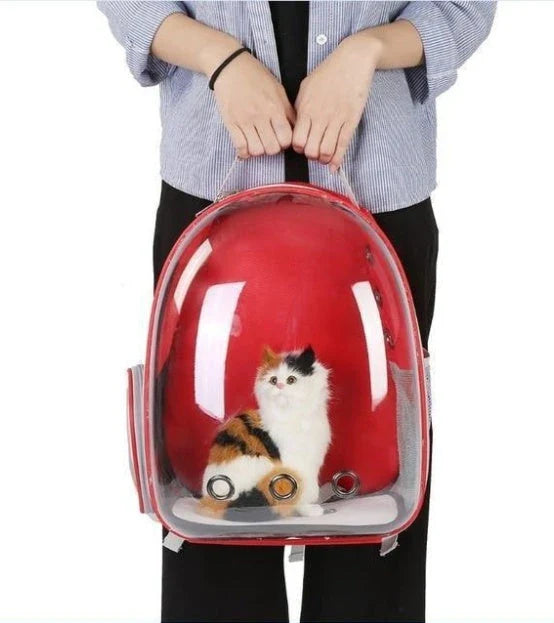 Premium transparent pet carrier backpack with side-entry door and breathable design for cats up to 12 kg