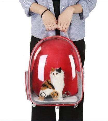 Premium transparent pet carrier backpack with side-entry door and breathable design for cats up to 12 kg
