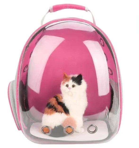 Premium transparent pet carrier backpack with side-entry door and breathable design for cats up to 12 kg