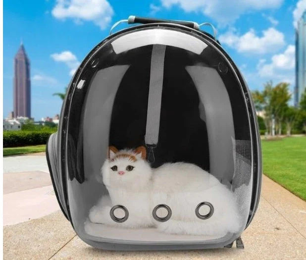 Premium transparent pet carrier backpack with side-entry door and breathable design for cats up to 12 kg