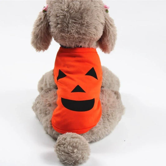 Adorable pumpkin-themed pet costume in various sizes and styles, perfect for Halloween celebrations with your furry friend
