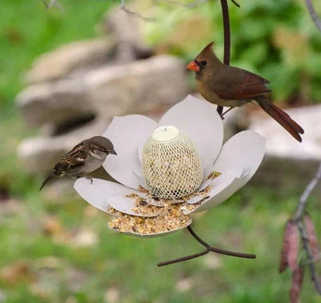 Elegant petal-shaped bird feeder in various colors, designed to attract and delight birds in your backyard