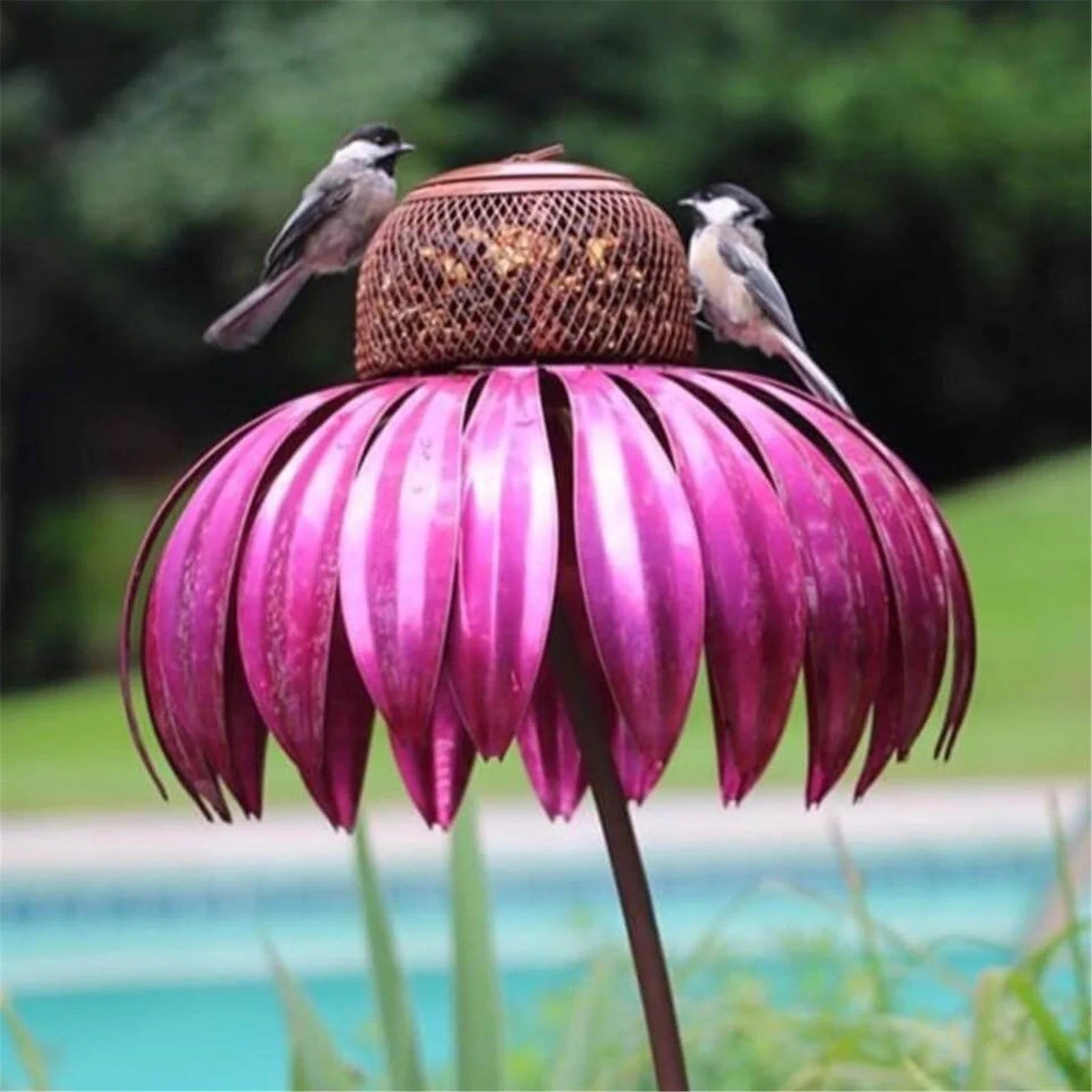 Elegant petal-shaped bird feeder in various colors, designed to attract and delight birds in your backyard