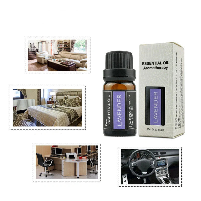 Aromatherapy essential oil candle with ginger, wormwood, and rose sandalwood scents