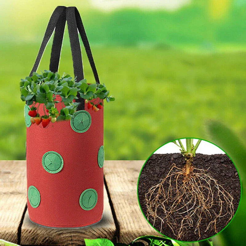 Vertical Garden Hanging Planter Bag made of breathable, non-woven fabric with 13 planting holes for growing herbs, vegetables, and strawberries