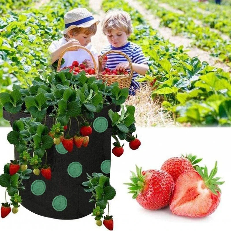 Vertical Garden Hanging Planter Bag made of breathable, non-woven fabric with 13 planting holes for growing herbs, vegetables, and strawberries