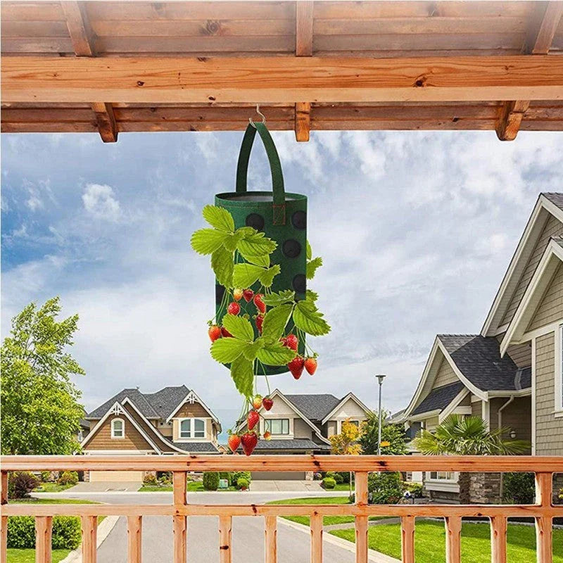 Vertical Garden Hanging Planter Bag made of breathable, non-woven fabric with 13 planting holes for growing herbs, vegetables, and strawberries