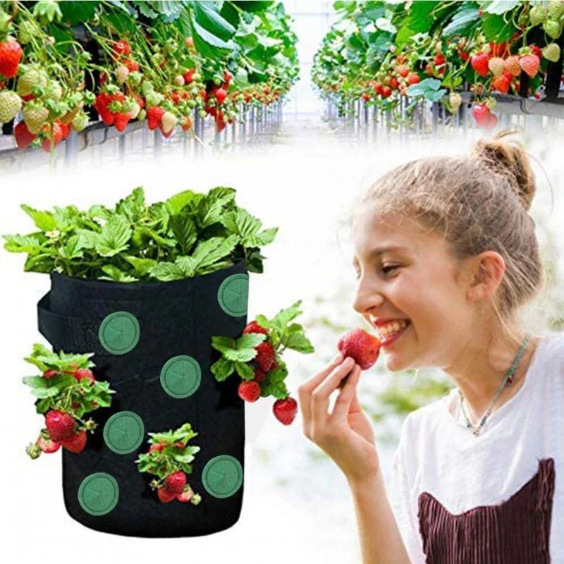Vertical Garden Hanging Planter Bag made of breathable, non-woven fabric with 13 planting holes for growing herbs, vegetables, and strawberries