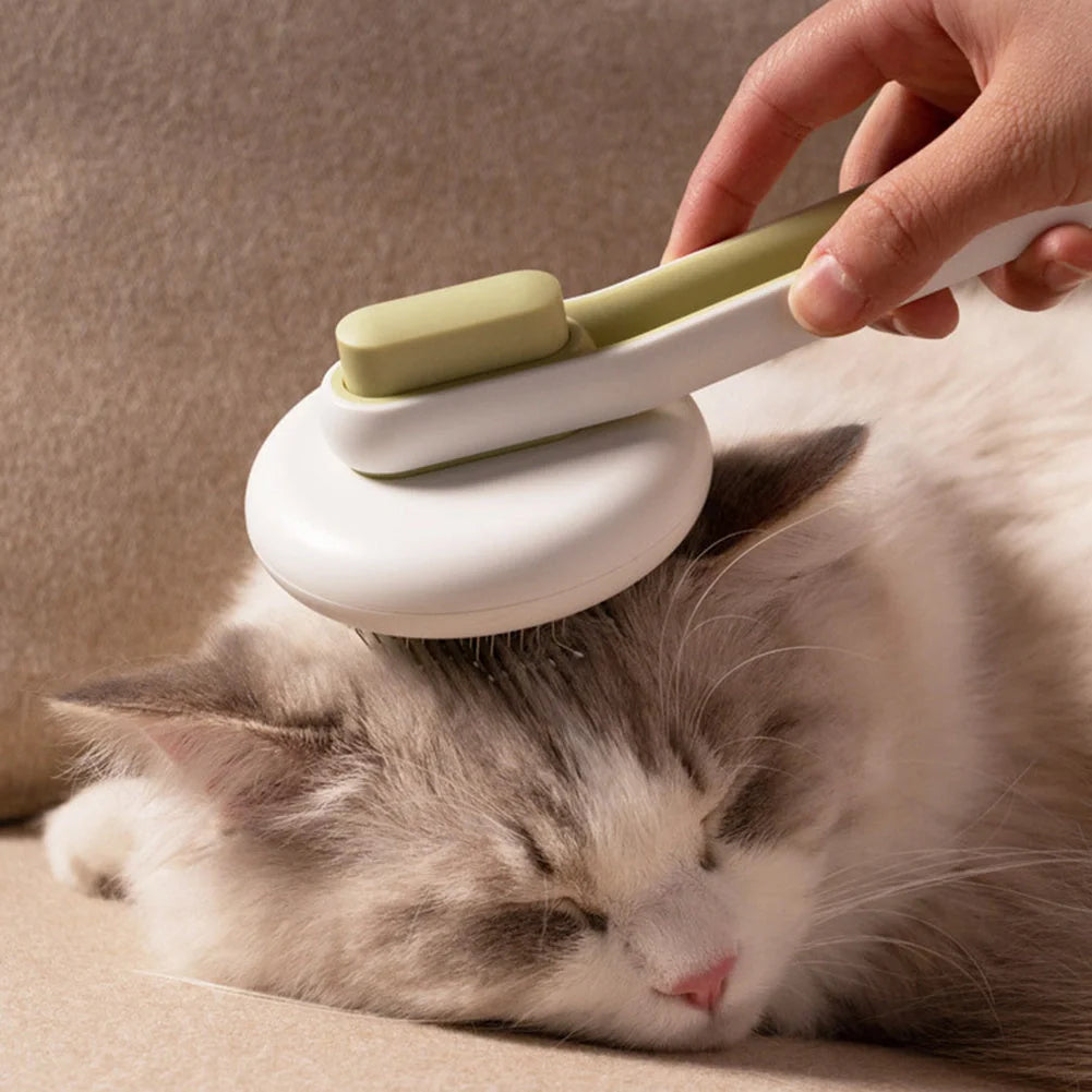 Automatic pet hair remover brush in pink, blue, and green options