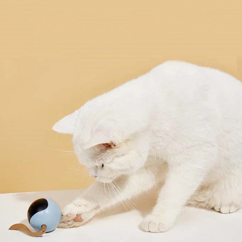 Interactive LED rotating ball for cats with automatic 360° motion and colourful lights