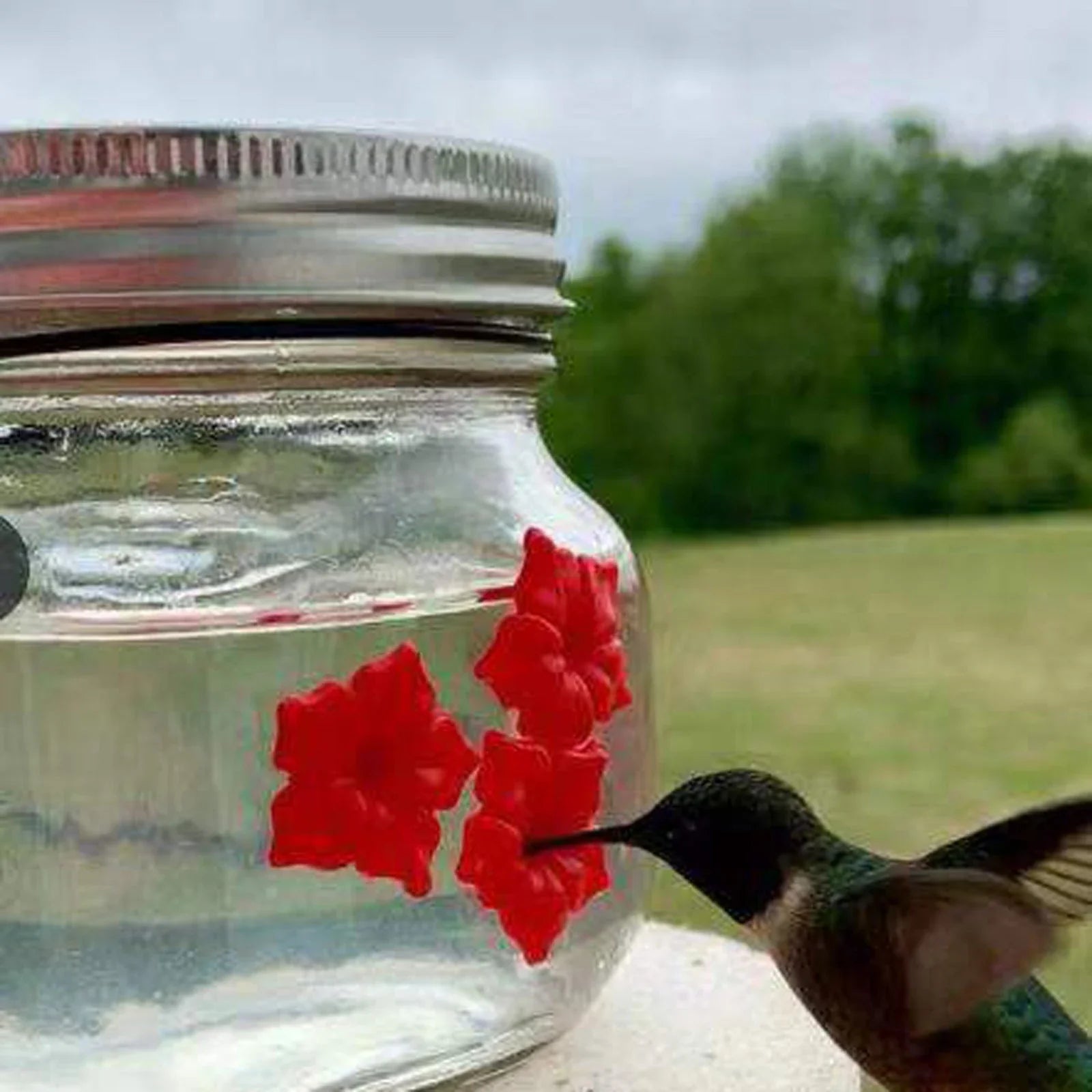 Elegant hummingbird feeder with flower-shaped design for attracting and feeding hummingbirds in the garden