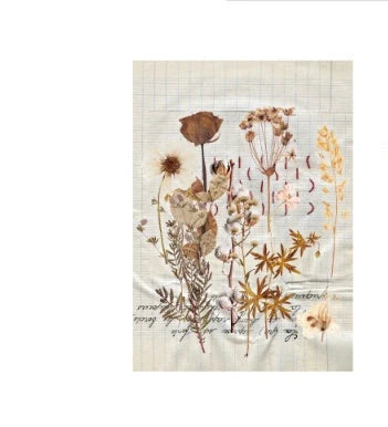 Herbarium DIY Plant Stickers pack with 8 unique botanical designs for creative decoration