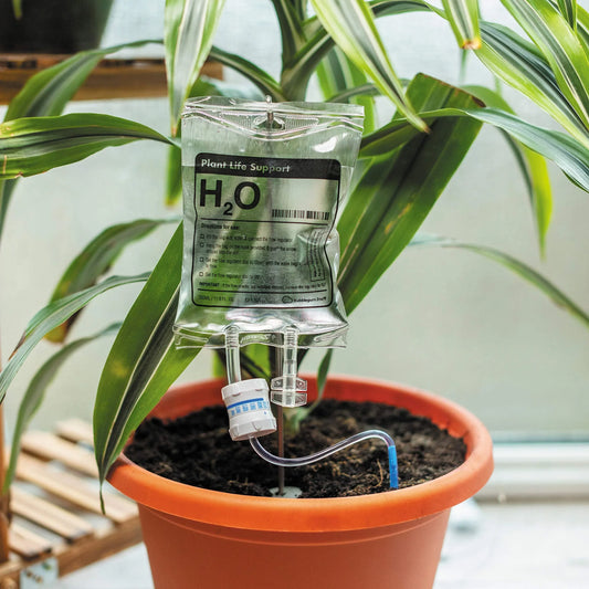 Premium drip-feed plant watering bag in transparent color, designed for indoor gardening and travel