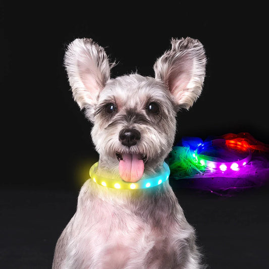 USB rechargeable flash collar for dogs with adjustable silicone necklace in white
