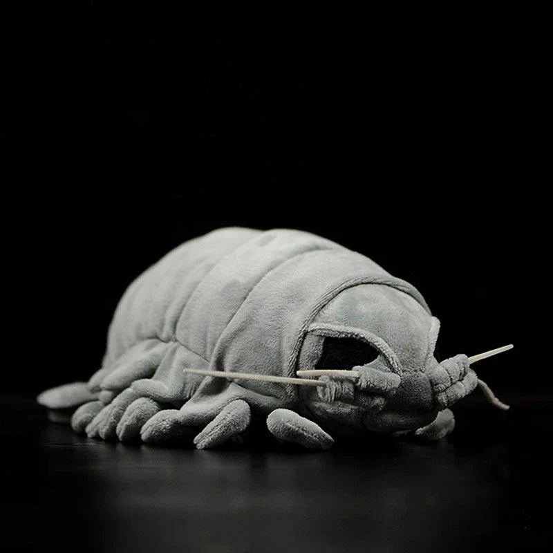 Realistic plush toy of the giant isopod, a deep-sea crustacean with a unique segmented body and armoured plates