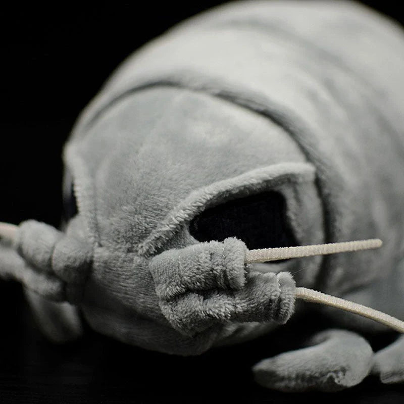 Realistic plush toy of the giant isopod, a deep-sea crustacean with a unique segmented body and armoured plates