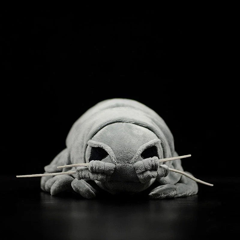 Realistic plush toy of the giant isopod, a deep-sea crustacean with a unique segmented body and armoured plates