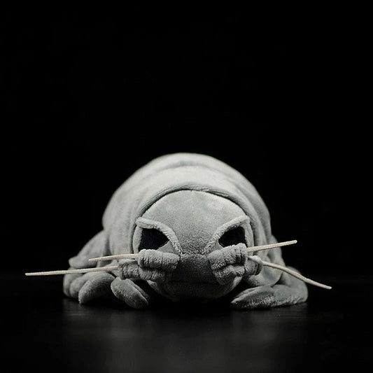 Realistic plush toy of the giant isopod, a deep-sea crustacean with a unique segmented body and armoured plates