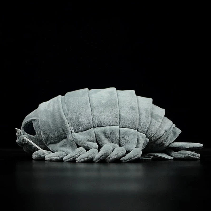 Realistic plush toy of the giant isopod, a deep-sea crustacean with a unique segmented body and armoured plates