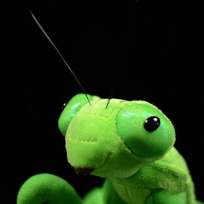 Lifelike praying mantis plush toys in vibrant pink and green colours, perfect for imaginative play and nature exploration
