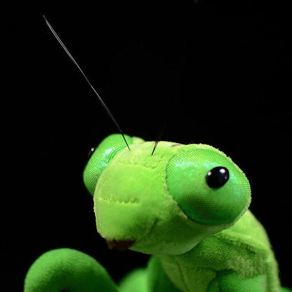 Lifelike praying mantis plush toys in vibrant pink and green colours, perfect for imaginative play and nature exploration