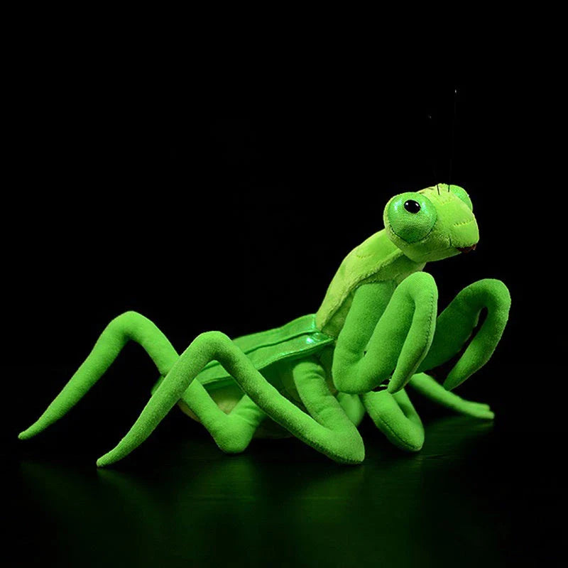 Lifelike praying mantis plush toys in vibrant pink and green colours, perfect for imaginative play and nature exploration